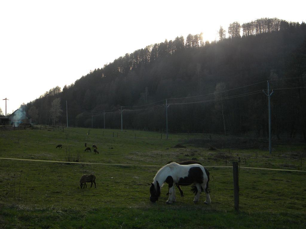 Penzion a apartmány Skipark Hraběšice Krasne Esterno foto